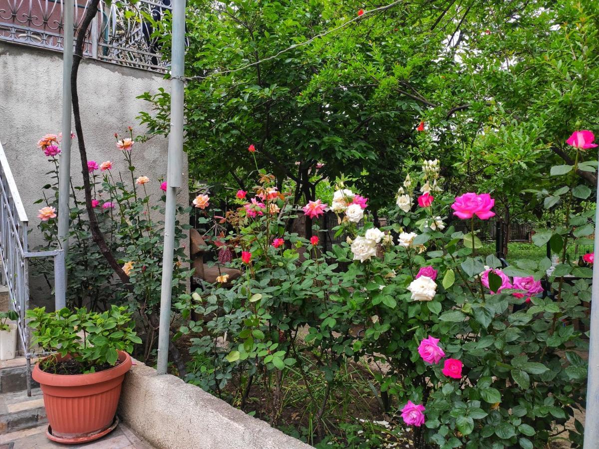 Guesthouse Ttt Тбилиси Екстериор снимка