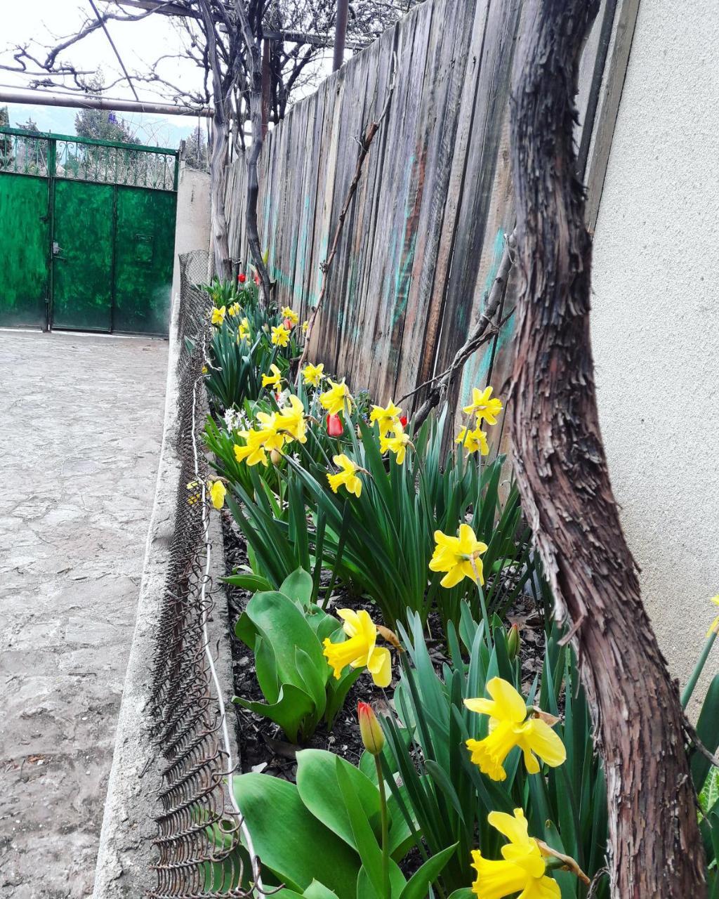 Guesthouse Ttt Тбилиси Екстериор снимка